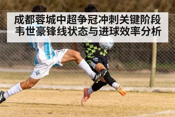 成都蓉城中超争冠冲刺关键阶段韦世豪锋线状态与进球效率分析